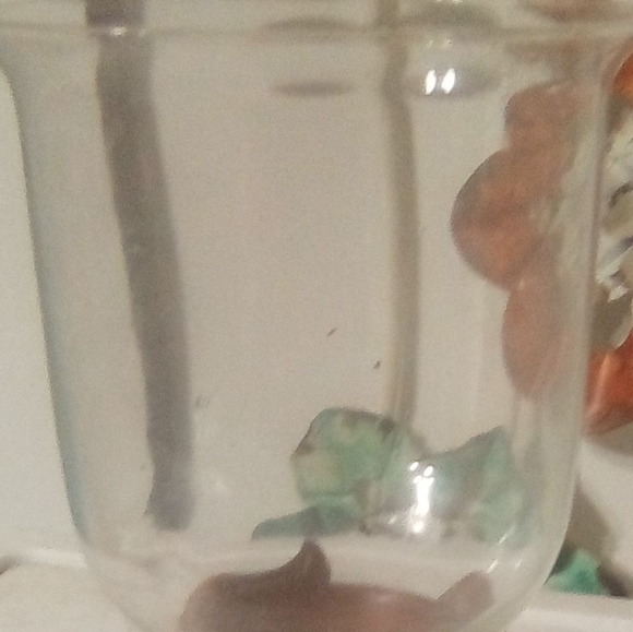 BILTMORE ESTATE CUTE GLASS GLOBE WITH WOODEN BOTTOM - Picture 1 of 3